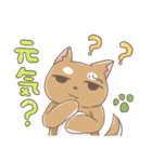 にゃんころ餅日記の柴わんこ（個別スタンプ：7）