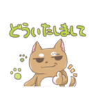 にゃんころ餅日記の柴わんこ（個別スタンプ：11）