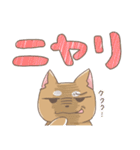 にゃんころ餅日記の柴わんこ（個別スタンプ：28）