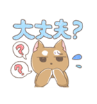 にゃんころ餅日記の柴わんこ（個別スタンプ：36）