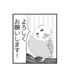 漫画風鳥スタンプ（個別スタンプ：5）