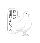 漫画風鳥スタンプ（個別スタンプ：21）