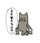 ハチワレねこの日常会話スタンプ（個別スタンプ：5）