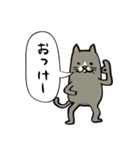 ハチワレねこの日常会話スタンプ（個別スタンプ：6）