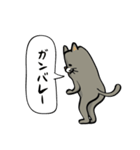 ハチワレねこの日常会話スタンプ（個別スタンプ：7）