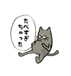 ハチワレねこの日常会話スタンプ（個別スタンプ：12）