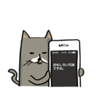 ハチワレねこの日常会話スタンプ（個別スタンプ：16）