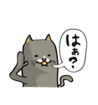 ハチワレねこの日常会話スタンプ（個別スタンプ：19）