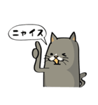 ハチワレねこの日常会話スタンプ（個別スタンプ：23）