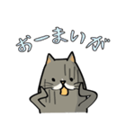 ハチワレねこの日常会話スタンプ（個別スタンプ：27）