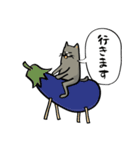 ハチワレねこの日常会話スタンプ（個別スタンプ：28）