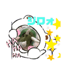 恐竜スタンプ第2弾（個別スタンプ：7）