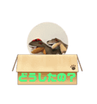 恐竜スタンプ第2弾（個別スタンプ：10）