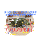 恐竜スタンプ第2弾（個別スタンプ：15）