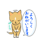 ころこ 毎日使えるあいさつ（個別スタンプ：11）