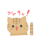 【猫】基本編（個別スタンプ：1）
