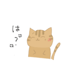【猫】基本編（個別スタンプ：6）