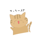 【猫】基本編（個別スタンプ：13）
