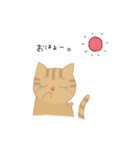 【猫】基本編（個別スタンプ：26）