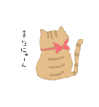 【猫】基本編（個別スタンプ：33）