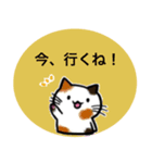 猫の挨拶スタンプ♡（個別スタンプ：9）