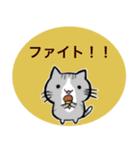 猫の挨拶スタンプ♡（個別スタンプ：23）