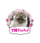 みんな仲良し 家族♡（個別スタンプ：1）