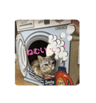 みんな仲良し 家族♡（個別スタンプ：2）