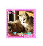 みんな仲良し 家族♡（個別スタンプ：4）