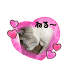 みんな仲良し 家族♡（個別スタンプ：10）