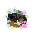 みんな仲良し 家族♡（個別スタンプ：15）