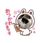 みんな仲良し 家族♡（個別スタンプ：16）