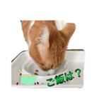 ニャンコの返事（個別スタンプ：2）