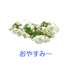 お花だよ✨ 2（個別スタンプ：7）
