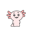 柔らかいウーパールーパーヒャロ（個別スタンプ：10）