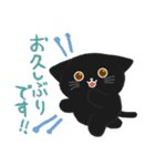 大人かわいい毎日使いたくなる黒猫7（個別スタンプ：35）