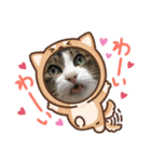 ニャンコの返事2（個別スタンプ：3）