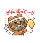 ニャンコの返事2（個別スタンプ：4）