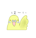 黄色いインコチャンスタンプ（個別スタンプ：11）