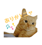 ておちゃい（個別スタンプ：5）