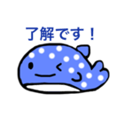 じんべえざめちゃん（個別スタンプ：1）