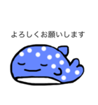 じんべえざめちゃん（個別スタンプ：3）
