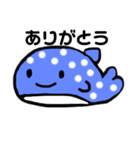 じんべえざめちゃん（個別スタンプ：4）