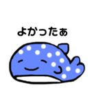 じんべえざめちゃん（個別スタンプ：5）