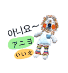 ハンドメイド人形（ハングル版）（個別スタンプ：14）