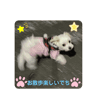 ちーたんの日々（個別スタンプ：1）