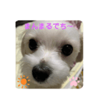 ちーたんの日々（個別スタンプ：2）