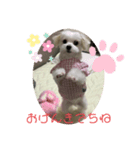 ちーたんの日々（個別スタンプ：5）