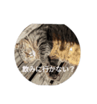 えりちんのお誘い（個別スタンプ：1）