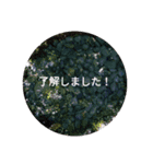 えりちんのお誘い（個別スタンプ：11）